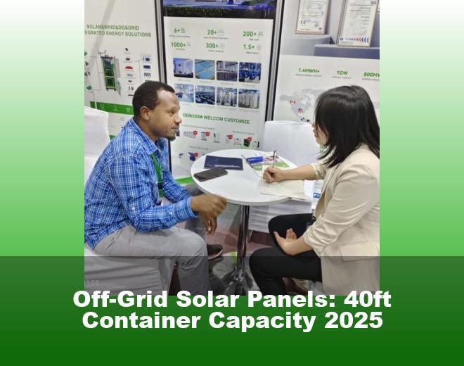 Off-Grid Solar Panels: 40ft Container Capacity 2025